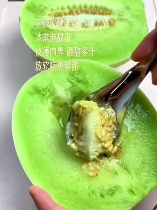 正宗沙地玉菇甜瓜,吃起来冰淇淋一样绵密的好口感#玉菇甜瓜 #现摘现发新鲜到家#海南冰淇淋玉菇瓜 #甜瓜 #好吃到停不下来