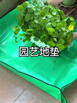 园艺必备园艺地垫,家庭种植换土垫翻盆拌土阳台防水养花垫多肉#园艺 #园艺地垫 #爱生活爱养花 #种植小技巧 #一起养花