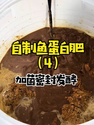 #水肥发酵 #自制鱼蛋白肥 #自制氨基酸水溶肥 #农业种植   自制鱼蛋白肥第四步,➕糖➕菌搅拌,密封厌氧发酵。