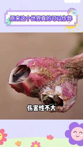 生活小妙招来啦#必看生活小妙招#生活小妙招