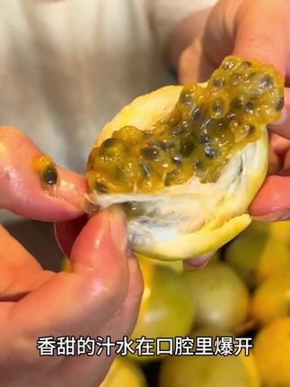 钦蜜9号百香果口感的巅峰时期来啦!#新鲜应季水果 #钦蜜9号百香果 #黄金百香果 #水果#新鲜采摘