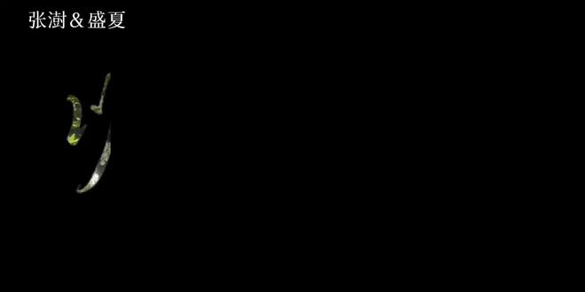 欢迎回到以你为名的夏天#以你为名的夏天#张澍盛夏 #小说