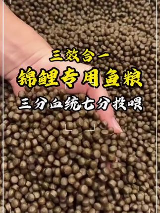 茵贝客高蛋白上浮饲料,增肥增色三合一!深海鱼粉蛋白+南极磷虾,锦鲤金鱼快速肥硕体态,藻类色素提亮鳞片#鱼粮