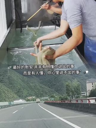 不知道走进你心里的人还有没有在陪伴你给你快乐#原创视频 #入了心的人一生惦记 #在平凡的日子里热爱生活