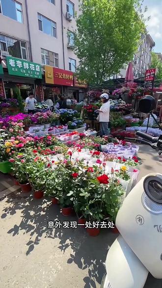 早市繁花惹人爱,挑束鲜花惬意归家
#绥化#绥化探店 #人间烟火 #同城趣生活 #兴旺路