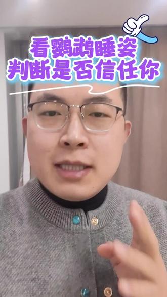 看鹦鹉睡姿,就知道你家鹦鹉信不信任你#鹦鹉宠物 #鹦鹉养殖 #鹦鹉睡姿 #鹦鹉睡觉 #鹦鹉睡觉姿势