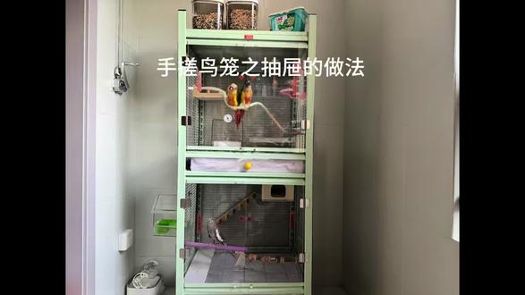 手搓鸟笼之抽屉的做法。想要自己做鸟笼抽屉的朋友可以过来抄教程了。需要用到的材料有:雪弗板,雪弗板专用胶水,雪弗板裁切刀(没有也可以用普通美工刀代替),透明胶带(围绕抽屉粘一圈,方便打扫),劳保手套,抽屉把手。#手搓 #鸟笼制作 #手搓鸟笼 #鹦鹉 #鹦鹉鹦鹉萌萌哒逗鹦鹉
