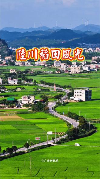 一山一村一稻田,此景在陆川#一眼心动的田园盛景 #陆川