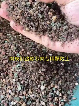 #种植营养土 #营养土 #营养土推荐