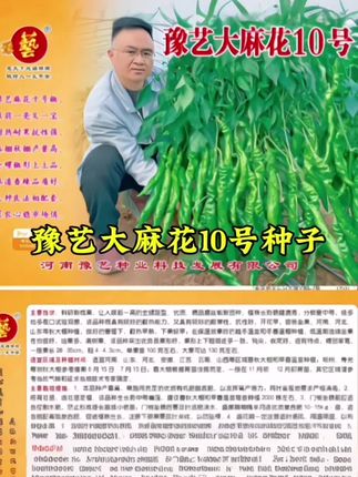 #有机种植 #农业种植 豫艺大麻花10号全螺旋螺丝椒种子 春秋大棚种植高产果形长#优质农产品 #大田种植 @抖音创作小助手