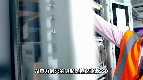 大普微(301666)AI深度分析:AI存储真龙头,还是估值大泡沫?