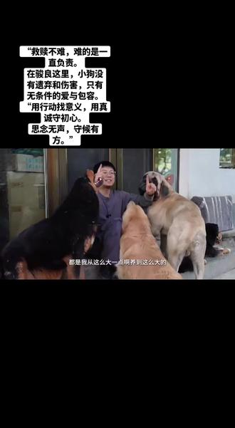 恭喜骏良有自己的品牌#思宝 真诚永远都是必杀技永远都会被骏良的真诚打动#骏良#门头沟#宠物#真诚
