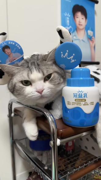 🥛🦈孙颖莎X冠益乳 活力限定礼盒开箱1🎁🏓️ 💪Tory!周边诚意满满,都是莎宝喜欢的海蓝色耶✌️#孙颖莎 #冠益乳 #孙颖莎代言冠益乳 #一天活力益冠搞定 #5114