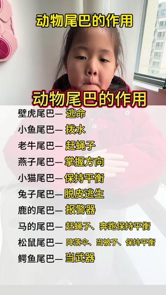 一年级语文上册《比尾巴》知识拓展,动物尾巴的作用。#一年级 #一年级语文#小学语文 #知识点总结 #每天学习一点点