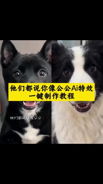 他们都说你公公视频制作教程!#公公特效 #剪映 #他们都说你公公特效 #他们说你像公公ai模板 他们都说你公公原视频 他们都说你公公模板 他们都说你公公ai生成 他们都说你公公视频怎么弄 #搞笑特效 放肆特效 放肆教程 范式模板 放肆搞笑视频制作 他们都说你像公公视频制作 他们都说你像公公原创 公公说话特效