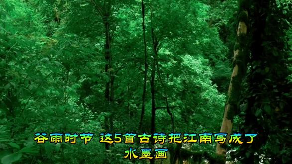 谷雨时节,这5首古诗把江南写成了水墨画
@沐风文集&
2026-04-14 四川
谷雨,春天的最后一个节气。一场雨后,江南就真的“绿”起来了。读这些写在谷雨的诗,像是走进一幅水墨江南——烟雨、新茶、牡丹、青秧,每一样都刚刚好。
1、《蝶恋花·谷雨》 宋·范成大
春涨一篙添水面,芳草鹅儿,绿满微风岸。画舫夷犹湾百转,横塘塔近依前远。
江国多寒农事晚,村北村南,谷雨才耕遍。秀麦连冈桑叶贱,看看尝面收新茧。
【译文】
春水涨了,芳草青青,小鹅在岸边扑腾,微风吹绿了整片河岸。乘着画舫在河道里慢慢转弯,横塘的塔看着近,走起来却远。江南春寒,农事来得晚,谷雨时节才把田耕完。麦子已经秀穗,桑叶多得便宜,转眼就能尝新面、收新茧了。
【赏析】
这首词以谷雨时节的江南水乡为背景,上片写水景,下片写农事,笔触清新明快。“春涨一篙添水面”用“一篙”量春水,既形象又富有生活气息;“绿满微风岸”一个“满”字,写尽了草木葱茏的生机。下片“谷雨才耕遍”点出农时,与“秀麦连冈”“桑叶贱”形成前后呼应,暗示着丰收在望。全词没有刻意抒情,却处处透着对田园生活的热爱。范成大以田园诗著称,此词正是他“于平淡中见真味”的典型。
2、《江南春日》 宋·夏竦
江北游人春未回,江南春色傍人来。
茶经谷雨依稀绿,花接清明次第开。
场上斗鸡金作距,槛前妆鉴玉为台。
六朝风物今何在,莫负流年酒百杯。
【译文】
江北的游人还没回来,江南的春色已经自己到了。谷雨时节,茶树叶子泛着新绿,清明过后,各种花儿次第开放。斗鸡场上的金距闪闪发光,栏杆前的妆镜像玉台一样明亮。六朝的风光如今还在哪里?别辜负了这大好时光,只管喝酒吧!
这首诗在写景之外,多了一层时光易逝的感慨。首联以“江北游人”与“江南春色”对举,点出江南春色的自顾自美丽。颔联“茶经谷雨依稀绿,花接清明次第开”是名句,谷雨新茶与清明花事衔接的自然有序,写出了春天递进的美感。颈联转入人间欢场——斗鸡、妆镜,热闹而富贵。尾联忽然一收,用“六朝风物”的典故引出对往昔的追忆,最终以“莫负流年酒百杯”收束,既有及时行乐的洒脱,也暗含了繁华易逝的惆怅。
3、《尝茶次寄越僧灵皎》 宋·林逋
白云峰下两枪新,腻绿长鲜谷雨春。
静试却如湖上雪,对尝兼忆剡中人。
瓶悬金粉师应有,筋点琼花我自珍。
清话几时搔首后,愿与松色劝三巡。