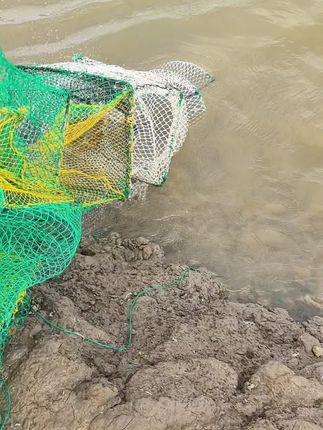 价格已经进入疯涨模式🦀蟹香四溢 秋日限定🦀青蟹每天新鲜出塘,临近中秋,需要的家人们抓紧预定哦!蟹脚痒,快来尝鲜!!!#请大数据推给需要的人 #现场实拍 #养殖人加油 #中秋送礼佳品 #抖音小助手