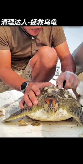 一起点左下角拯救乌龟吧!轻松解压!#清理达人 #抖音小游戏 #谁知道这是什么 #一般人不告诉他 #用一张照片证明你是钓友