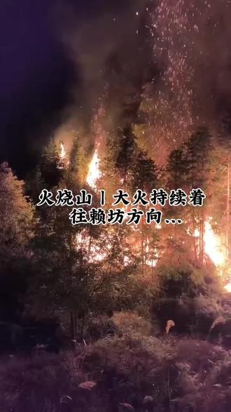 一定不能纵容放火烧山的人