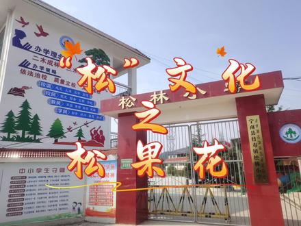 “松”文化 之 松果花#校园 #手工 #校园生活