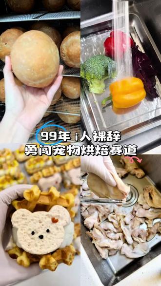 音乐生转行做宠烘的第1830天 #日常创业记录vlog #自制狗狗零食 #烘培 #创业 #什么都明白的人最温柔也最冷漠
