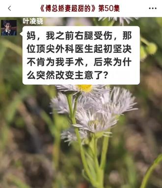 叶笙歌掉马甲,叶凌峰不敢相信#傅总娇妻超甜的 #小说推文 #情感小说