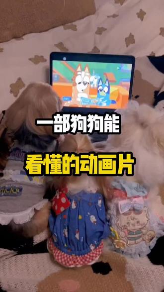 小狗能看懂的动画片你知道吗?赶紧放给你家狗看。#萌宠 #养狗经验分享 #新手养狗