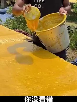 这个价到手一斤装的芒果干,赶紧薅起来吧#芒果 #芒果干