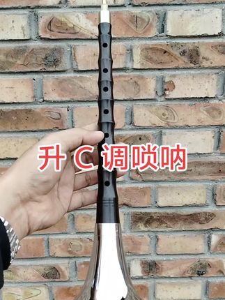 乌木升 C 调唢呐,各调有货