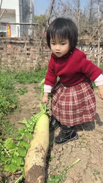 #爱干活的宝宝#调皮捣蛋的小家伙 #农村娃娃欢乐多 #狗都嫌的年纪
她又来啦!好大的萝卜。