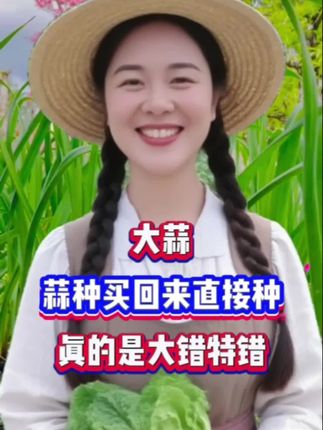 大蒜蒜种买回来直接种, 真的是大错特错#大蒜#大蒜种植#大蒜拌种#大蒜拌种剂 #分享农业知识帮农民增产增收