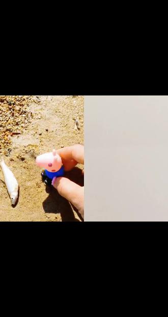 可爱的小丑鱼,快画起来吧~#3到6岁儿童启蒙早教益智
#简笔画 #儿童玩具