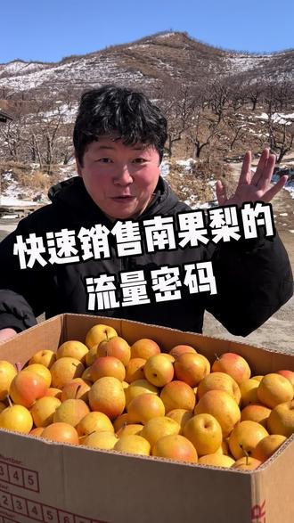 #鞍山南果梨 依然是很好的南果梨,卖的便意是因为库存压力大。春季不耐储存,建议收到货的朋友,三分之一空箱常温,三分之一冷藏,三分之一冷冻。南果梨做冻梨非常好吃。