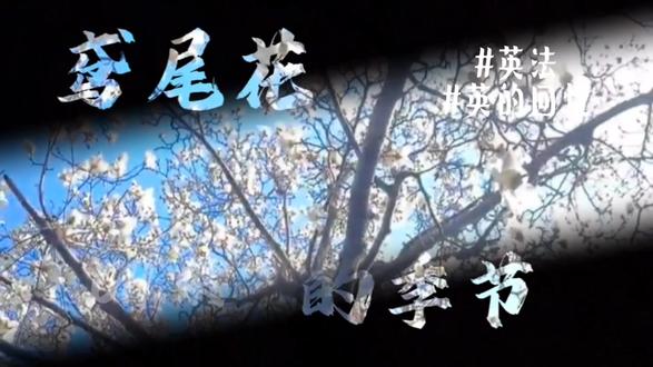 #原创视频 #CH #配音 #推文 医生英&病美人法
第二期来啦~可以在蹲蹲哦~尽量一周一更,不好听致歉,OOC致歉(英法的声音做了点微调)