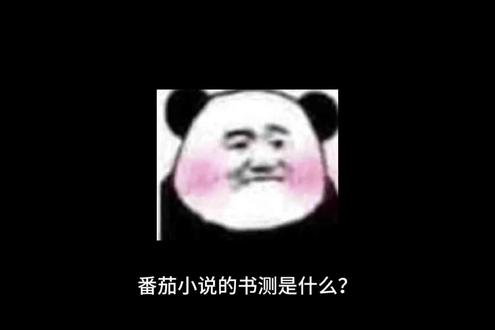 番茄小说的书测是什么?#写小说 #写网文 #小说作者 #网文作者 #番茄小说书测