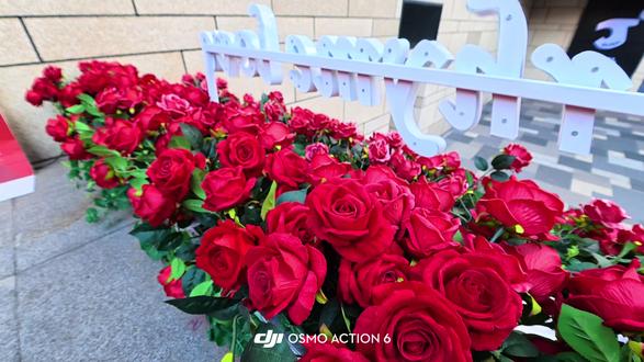 当action6装上微距镜后,将会得到…#一秒就学会系列 #静距离 #action6 #大疆 #运动相机