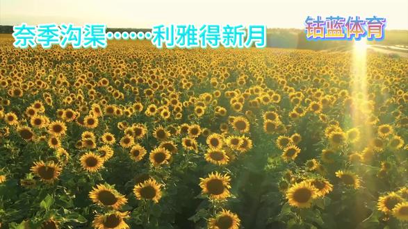 沙职:奈季沟渠……利雅得新月