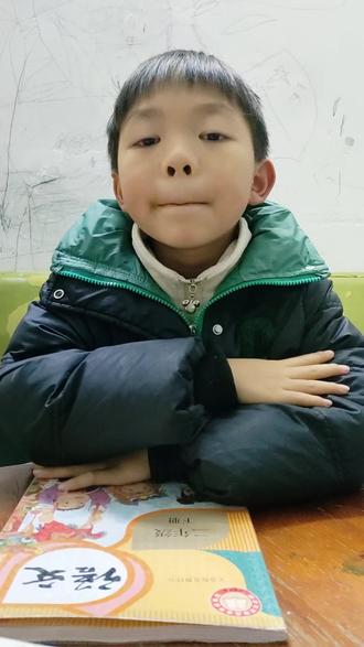 二年级下册语文第一课古诗二首《咏柳》知识点总结#知识点总结#知识分享#古诗#小学语文