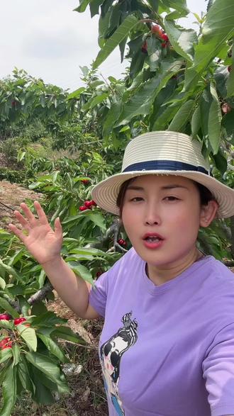 山东沂源大樱桃成熟在即,却突遭冰雹灾害,果农损失惨重、生计艰难!恳请全国各地爱心朋友伸出援手,采购正宗沂源樱桃,以购助农,帮扶辛苦果农渡过难关,感恩每份善意!