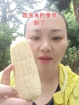 玉米季啃玉米就饱了,软软糯糯,玉米味浓#玉米 #农产品 #粗粮 #好吃到停不下来 #白糯玉米