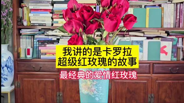 为啥说卡罗拉超级红玫瑰代表了爱情#爱情#红玫瑰#花市#故事#作家