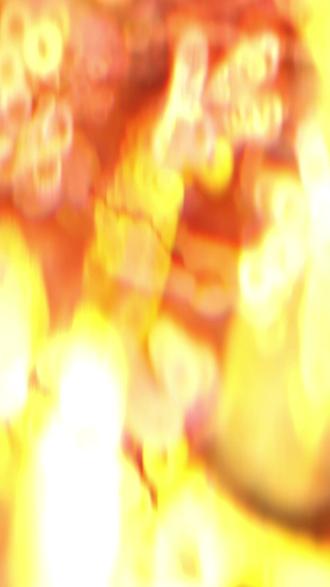 “我有毒,别吃我!”箭毒蛙,自然界令人着迷也是“毒”名昭著的生物之一;#动物世界 #动物科普 #动物 #科普一下