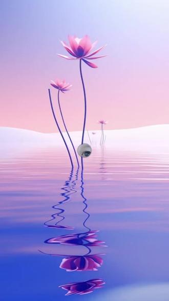 #朴元彬Toi摇给我看爽了