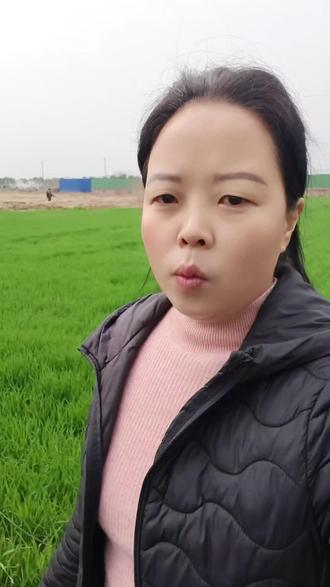 为什么安徽的外地媳妇越来越多了?因为在安徽公婆好,老公疼媳妇在安徽不用你下地干活,因为安徽阜阳都是平原,干活都用机器。#真实生活分享#乡村生活#远嫁#抖音推广@抖音小助手