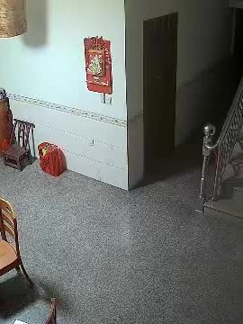 只是随手点开,就出现这一幕#监控下的一幕 #意不意外 #暗中观察