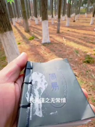 梅花爻一卦接一卦~答案就在眼前,是你看不破,不放过#普及知识 好书推荐