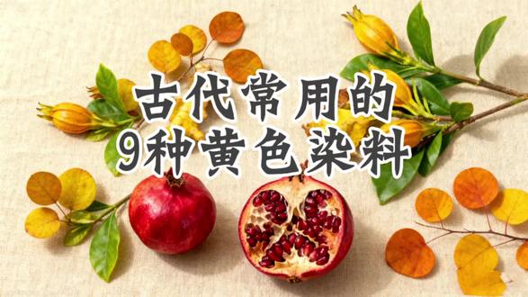 古代常用的9种黄色染料 黄色是最醒目温暖的颜色,在我国历史上也曾具有特殊含义,我国传统植物染料中能染黄色的也是最多的,其中最典型的有九种:
1. 栀子:最常用的直接性黄色染料。色泽明亮鲜艳,从明快的鹅黄色到饱满的赤黄色均可染得,色谱广泛。
2. 槐米:国槐的花蕾。通过媒染可得到非常柔和的黄色,色泽鲜亮,尤其是用锡媒染剂可得非常娇嫩的淡黄色。
3. 姜黄:其根茎所含色素可直接上染,得到一种浓郁且带橙调的深金黄色,色彩温暖,但日晒牢度较差。
4. 黄檗:芸香科植物树皮。染出的黄色微带绿光,具有荧光效果,色泽清冷高雅。古代也用于染纸以防虫。
5. 柘木:心材为黄色,能染出高贵华丽的“柘黄”。此色在唐代被视为尊贵的服色,是帝袍的专用色之一,色泽沉稳。
6. 荩草:一种古老染料,含有木犀草素。通过不同媒染剂可得丰富黄色,如锡媒染得艳黄,铜媒染得黄绿。
7. 地黄:其根部可染出柔和的中黄色至土黄色,色彩含蓄而质朴,充满自然气息。
8. 石榴皮:石榴的果皮。富含鞣质,能染出沉稳的土黄色、卡其色,是一种优良的天然灰色调染料。
9. 黄栌:著名的“帝王黄”。其木材在热水浸泡后呈黄色,常用于染制御用龙袍,所得黄色色调饱和、雍容华贵。其木煎水而成的“黄栌汤”是染黄的重要染料。
这些植物共同构成了中国古代丰富而细腻的黄色色谱,从娇嫩到沉稳,从明亮到古朴,尽显自然造化的智慧与美感。#植物染 #科普知识 #草木染