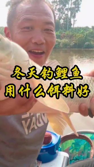 冬天钓鲤鱼用什么饵料好? #钓鱼知识#钓鱼饵料分享