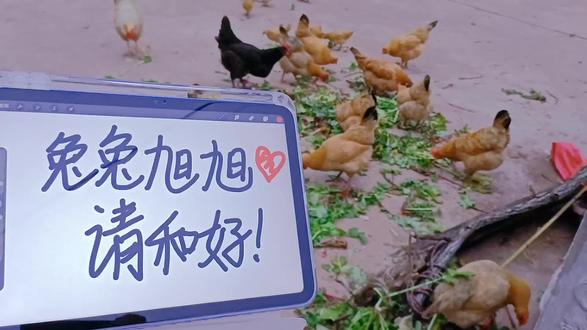 #抽象#CP#兔旭 #第五人格 甜甜咸咸青海湖~
羊圈代写d@泡泡.