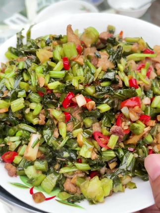 雪里蕻青雪菜这样做超级下饭,大人孩子都爱吃,#无限回购的宝藏单品 #下饭菜 #雪里蕻 #青雪菜 #在家做美食